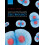 Evolutionary Cell Biology by Lynch Michael R. Professor and Director o 1
