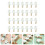 200Pièces Pinces Photo En Bois Colorées Pour Support Notes Décor 10