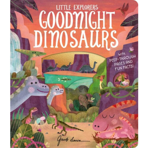 Goodnight Dinosaurs by Molly Littleboy Other Book