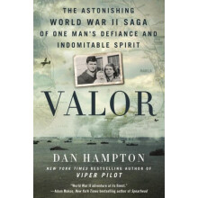 Valor by Dan Hampton Paperback Book