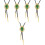 5Pièces Colliers Bolo Verts Agate Pour Look Vintage 5