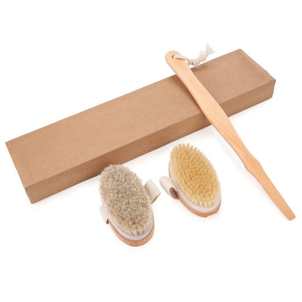 Dry Brushing Body Brush For Lymphatic Drainage With Long Handle, Natural Boar Bristles Exfoliator Tool That Promotes Circulation And Supports Deto
