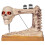 Skeleton Sewing Machine Figurine Prank Voice Controlled Halloween Deco 1
