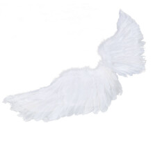 5Pièces Ailes Cosplay Enfant Blanche En Plume Pour Costume Fête