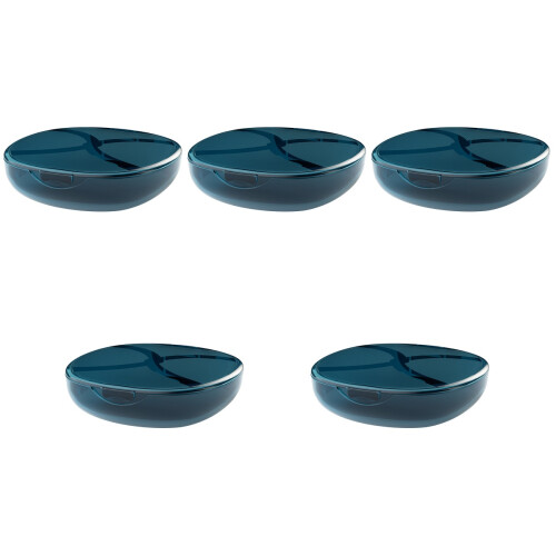 5Pcs Blue Plastic Denture Holder Box with Mirror Lightweight Portable 2