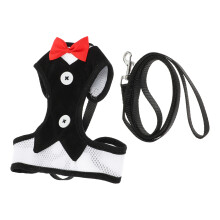5Sets Black Pet Vest Harness and Leash Kit for Small Dogs Outdoors