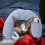 16Pcs Comfortable Cat Pillows for Indoor Pets Neck Protection Assorted 10