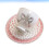 2Sets Ceramic Coffee Cup and Saucer Set Multi-Color Comfortable Handle 8
