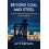 Beyond Coal and Steel by Lutz Raphael Paperback Book 1