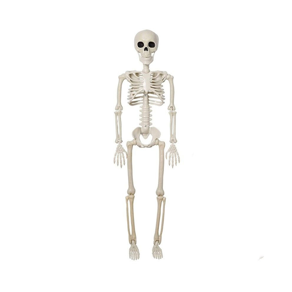 Halloween Skeleton Decoration, Posable Full Body Skeleton With Movable Joints, Spooky Prop For Yard, Garden, Lawn, Patio 4711345940437