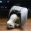 Wireless Controller Display Stand Desktop Decoration for PS5 Controller Stand for Universal  Storage Stand 2