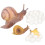 4Sets Kids Early Learning Animal Cognitive Models Assorted Color Toys 1