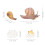 4Sets Kids Early Learning Animal Cognitive Models Assorted Color Toys 10