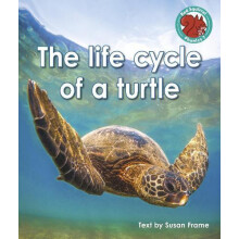The life cycle of a turtle by Susan Frame Paperback Book