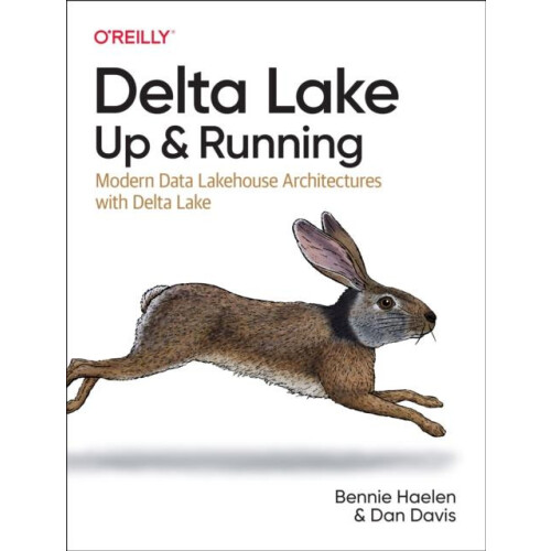 Delta Lake Up and Running by Dan Davis Paperback Book