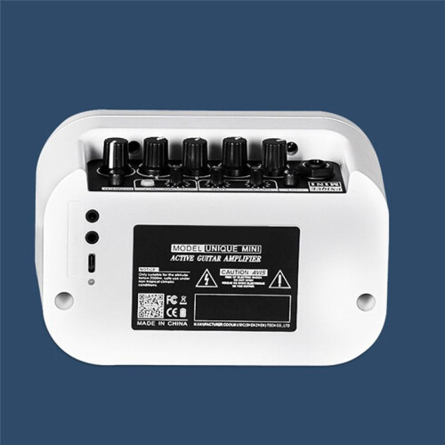 Electric Acoustic Guitar Amplifier Powered Portable  Speaker Distortion Delay Effects10W 1