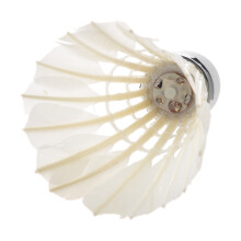 LED-Badmintonbeleuchtung