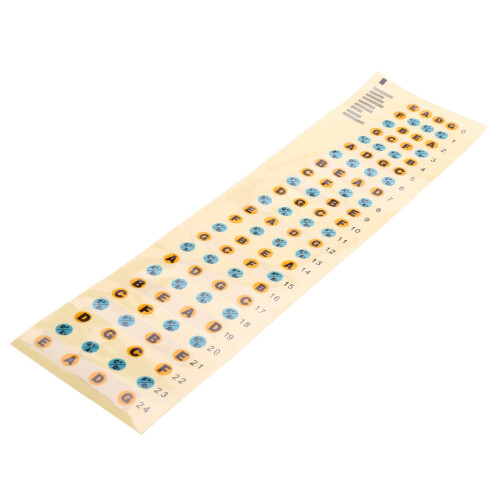 Guitar Fretboard Note Decals Fingerboard Frets Map Sticker for Beginner Learner Practice Fit 4 Strings Bass Guitar(Bass-Multicolor)
