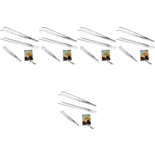 15Pièces Pince Acier Inox Longue Usage Jardin 2
