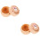 2St Kleine Tandenbox Bewaring Modern Stijl 8