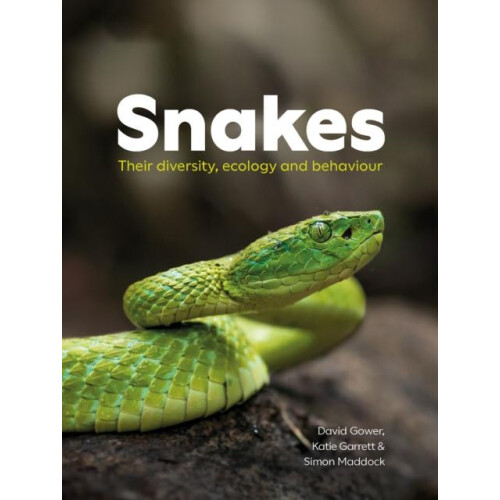 Snakes by Simon Maddock Paperback Book