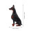 3Pcs Black Plastic Simulation Doberman Dog Figurines for Kids Decor 4