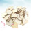200St Houtschijfjes Voor Scrapbooking En Doe-Het- 9