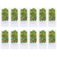 24St Mini Bloembed Wit Plastic Voor DIY Landschap Decor