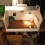 2Pcs Coconut Fiber Reptile Mat Strong Permeability Assorted Color 6