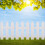 12Sets Plastic Border Afsluiting Stevig Tuinpad & Bloemenbed 3