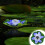 Lotus Violet Pièce Pour Étanche 9