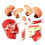Medical-Torso Human Body Model Education  Muscles Nerve Organs Model for Student Teaching Study Assembling Model 4