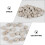 Pierres Décoratives Beige Escargot Naturel Pour Aquarium 4