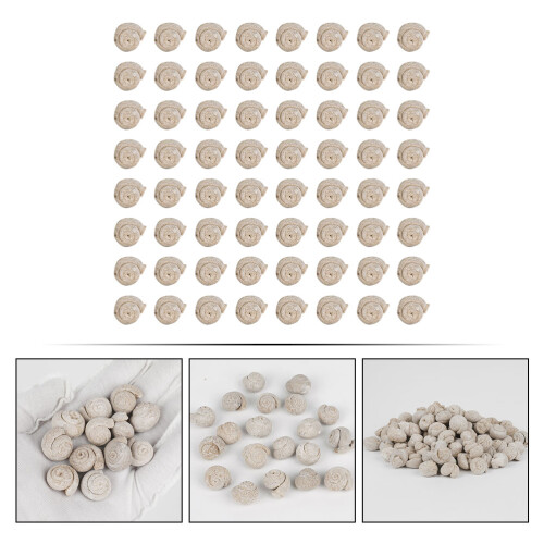 Pierres Décoratives Beige Escargot Naturel Pour Aquarium 2