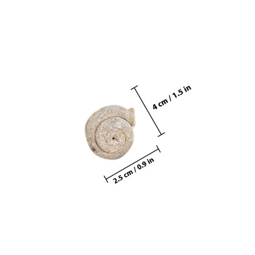 Pierres Décoratives Beige Escargot Naturel Pour Aquarium 1