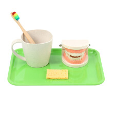 3Sets Kindertandmodel Speelgoed Voor Vroeg Leren En