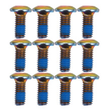 12St Roestvrije Titanium Schroeven Voor Alle Type Fietsen
