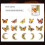Retro Notebook Decoration Material Stickers DIY Decorative Sticker for Notebook Labels, Amber Butterfly 4
