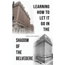 Learning How to Let It Go in the Shadow of the Belvedere by James Loui