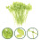 200St Nylon Kabelbinders Groen Leaf-Shaped Voor En Kabel 10