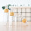 12 Pcs Travel Essential Oil Bottle Liquid Foundation 11