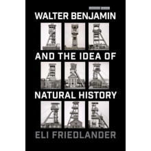Walter Benjamin and the Idea of Natural History by Eli Friedlander Pap