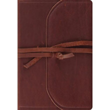 ESV Student Study Bible Other Book