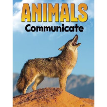Animals Communicate by Nadia Ali Hardcover Book