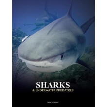 Sharks and Underwater Predators by Tom Jackson Hardcover Book