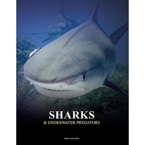 Sharks and Underwater Predators by Tom Jackson Hardcover Book