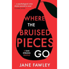 Where the Bruised Pieces Go by Jane Fawley Paperback Book