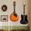VäGgfäSte för Gitarr med LuftfuktighetsöVervakning GitarrhäNgarkrok för Akustisk, Elektrisk, Ukulele, Bas med 5 Val 5