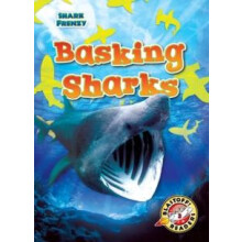 Basking Sharks by Rebecca Pettiford Hardcover Book