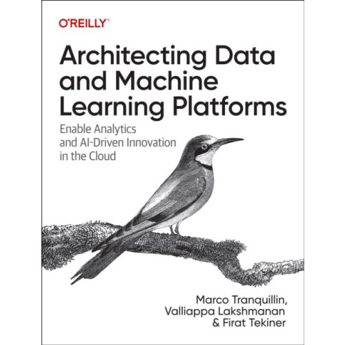Architecting Data and Machine Learning Platforms by Firat Tekiner Pape